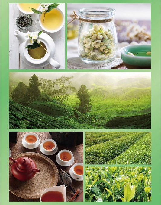 康师傅 茉莉清茶