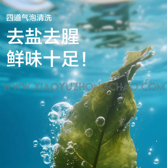 卫龙  风吃海带