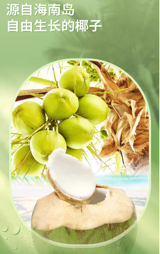 椰树牌 椰汁