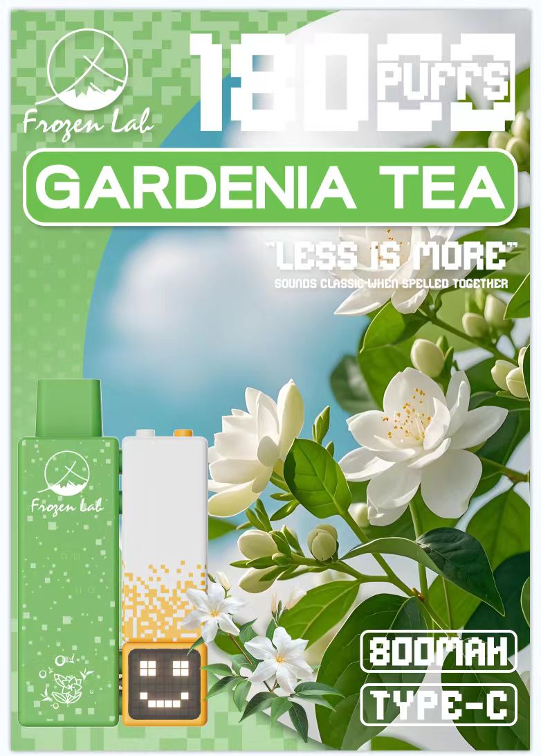 Frozen Lab极寒实验室 乐高电子烟 12种口味