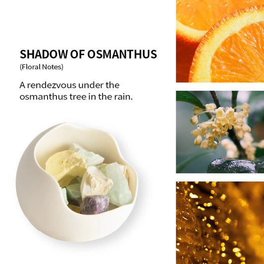 陶石幽香·桂影  香薰石