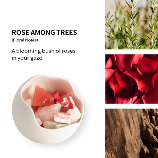 陶石幽香·玫影  香薰石